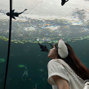 阳光下的星星