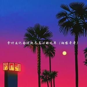 拿什么记念这耗尽真心的几年 (烟嗓哥哥)