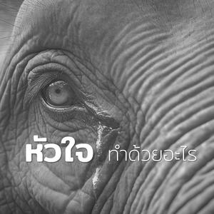 หัวใจทำด้วยอะไร (Male Vocal Version)