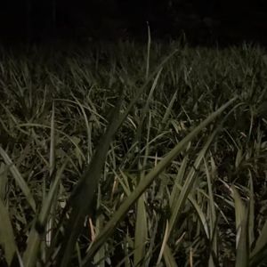 海风轻拂的宁静之境