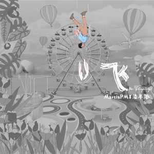 飞