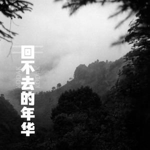 回不去的年华