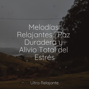 Recuerdos De Cascada