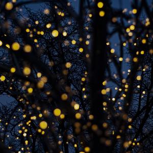 温柔月光 疗愈之音