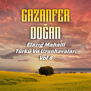 Evlerinin Önü Lale Bağı