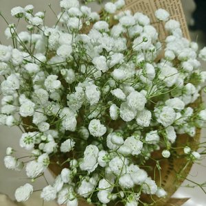 《游戏高光时刻》