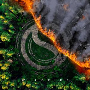 Wildfire