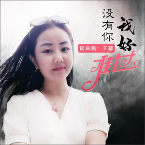 没有你我好难过 (何鹏DJ版)