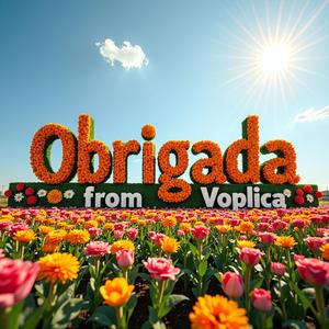 Obrigada