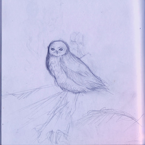 Атмосферная музыка для всей семьи