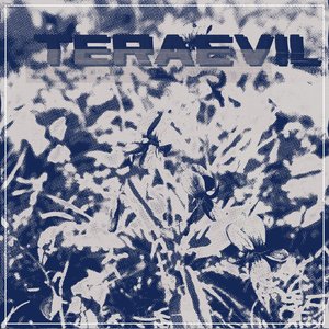 TERAEVIL