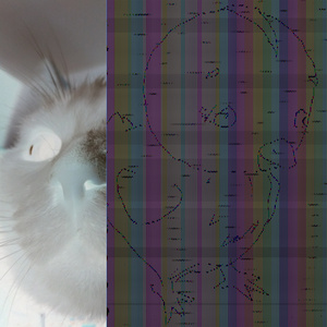 Robottochikin (a weird experiment by Fullmoon Lullaby)