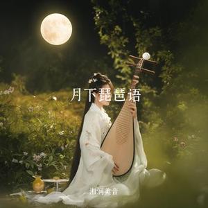 月下琵琶语