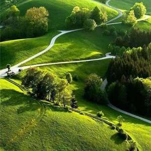 asdf4a56f1as56asc (20)