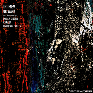 Ury Wapk (Original Mix)