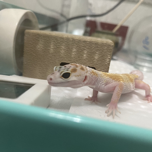 原来最大的惩罚是记得