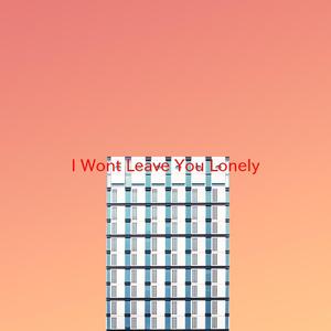 I Won't Leave You Lonely (Complete version originally performed by Shania Twain)