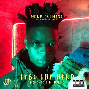 Nerd (feat. Cronic) (Remix) (Remix)
