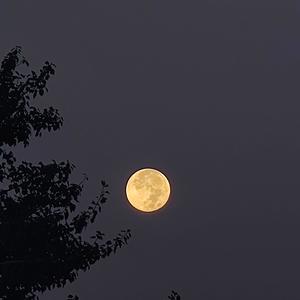 变废为宝-cover薛之谦