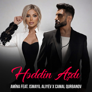 Həddin Aşdı