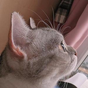 淋雨一直走(小少年儿)