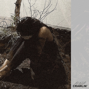 Crawlin'