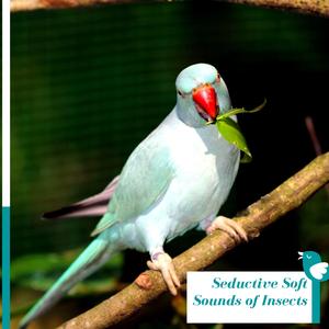 Darkeyed Junco's Song to Keep You Company