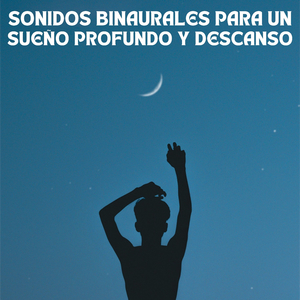 Ritmos Binaurales Relajantes