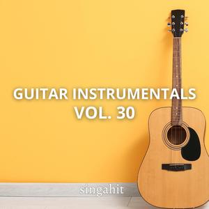 Habits (Stay High) (Acoustic Guitar Instrumental)