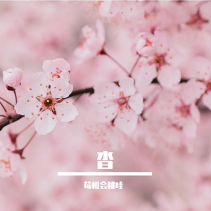 杀死那个石家庄人