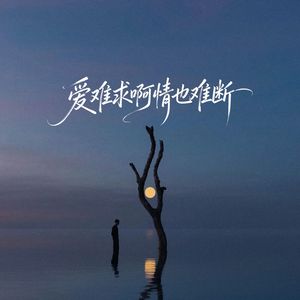 爱你耗尽我半生余力