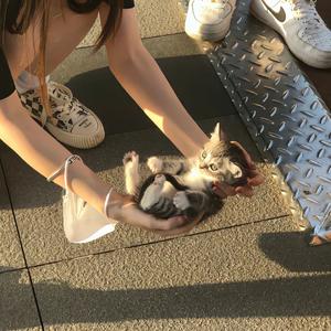 我是一个粉刷匠