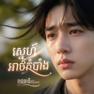 ស្នេហ៍អាថ៌កំបាំង