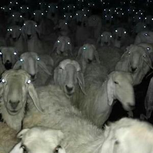 Active (feat. Jaydes Archive)