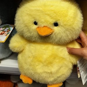 见你