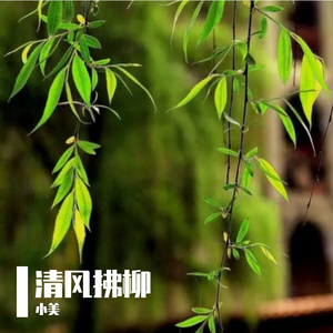 相遇别离