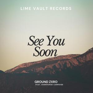 See You Soon (feat. Darkhorse Carriage) (Radio Edit)