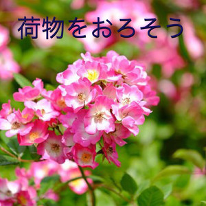 荷物をおろそう