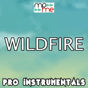 Wildfire (Karaoke Version) [Originally Performed By John Mayer]