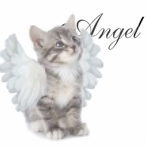 Pretty Angel（天使）