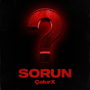 Sorun
