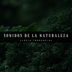 Sonidos Reconfortantes