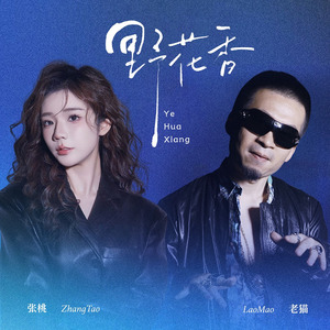 野花香(DJ翊轩版伴奏)