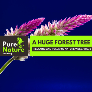 Safe Sounds of the Birds