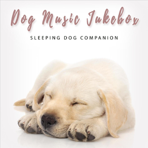 Ruffreshing Sleep