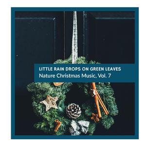 Squashed Night Crickets