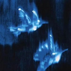 梦蝶 （prod.MORROW）