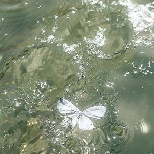 春（翻自 陈文非）