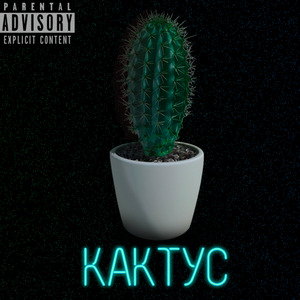 Кактус
