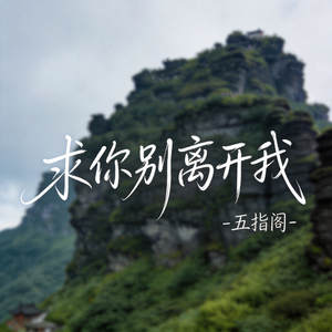 求你别离开我 （抖音热播版）